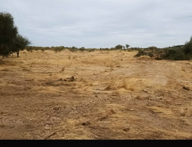 VENDO PARCELA 5.000 MTS2 EN REGIÓN MAULE - COMUNA EL RETIRO