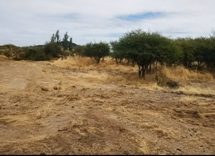 VENDO PARCELA 5.000 MTS2 EN REGIÓN MAULE - COMUNA EL RETIRO