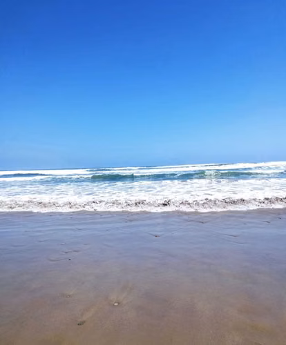 PRIMERA LINEA EN PLAYA LOS CHOROS, 1 HECTÁREA