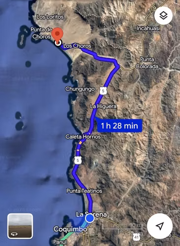 PRIMERA LINEA EN PLAYA LOS CHOROS, 1 HECTÁREA