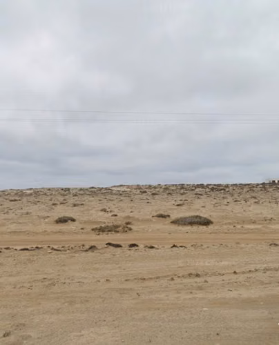 PRIMERA LINEA EN PLAYA LOS CHOROS, 1 HECTÁREA