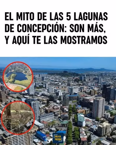 VENTA EN EXCLUSIVO CONDOMINIO DE PARCELAS CONCEPCION 7.700M2