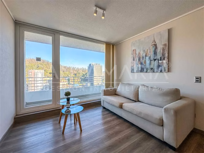 Arriendo Dpto. Amoblado 1 Dormitorio Salas, Concepción