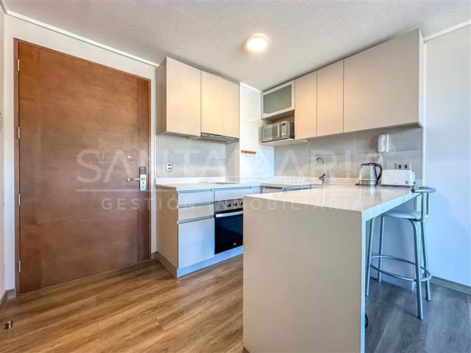 Arriendo Dpto. Amoblado 1 Dormitorio Salas, Concepción