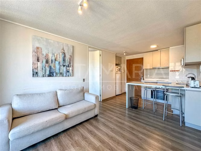 Arriendo Dpto. Amoblado 1 Dormitorio Salas, Concepción