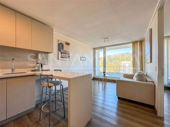 Arriendo Dpto. Amoblado 1 Dormitorio Salas, Concepción