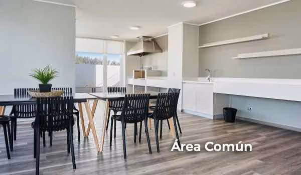 Arriendo Dpto. Amoblado 1 Dormitorio Salas, Concepción