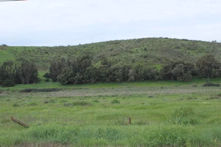 FOCOLARE PROPIEDADES VENDE TERRENO COMERCIAL - Imagen 2