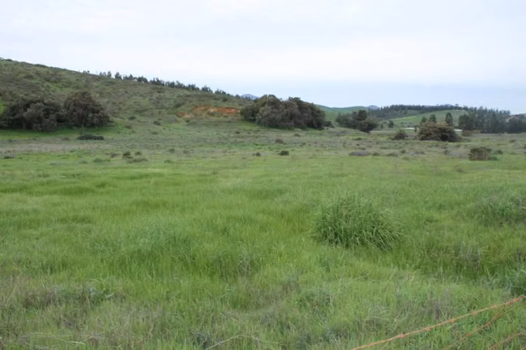 FOCOLARE PROPIEDADES VENDE TERRENO COMERCIAL - Imagen 7