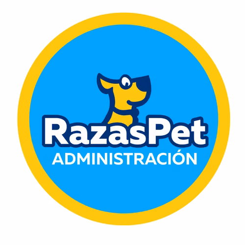 Analista Administrativo y gestión de inventario