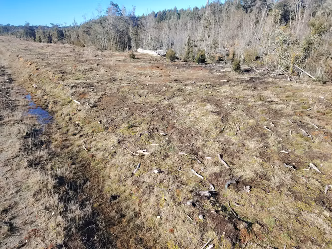 Parcela 5.000 m2, comuna de Maullín, Provincia de Llanquihue