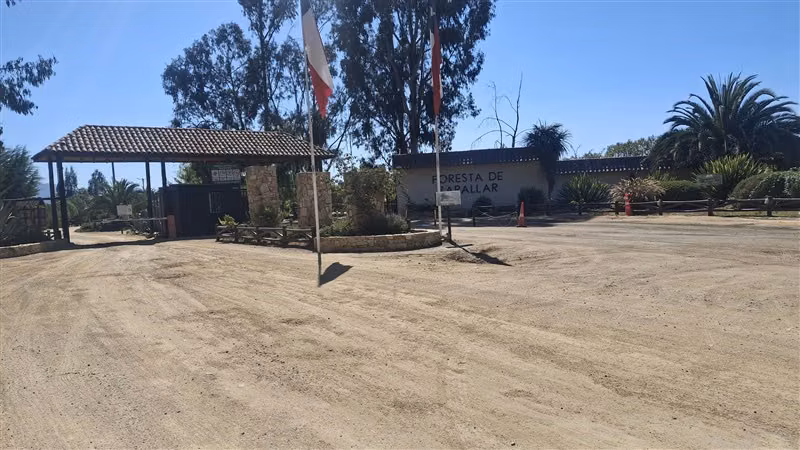 Parcela en venta en Zapallar