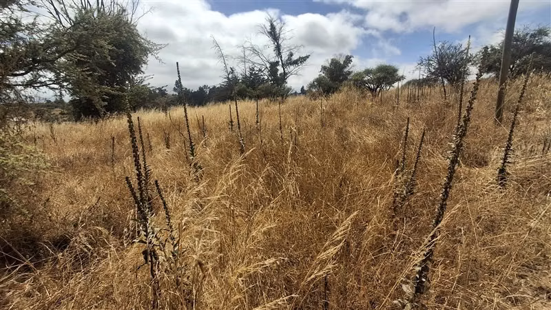 Sitio en venta en Melipilla
