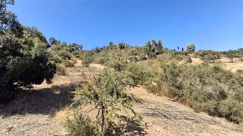 Sitio en venta en Casablanca