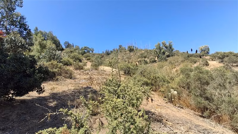Sitio en venta en Casablanca