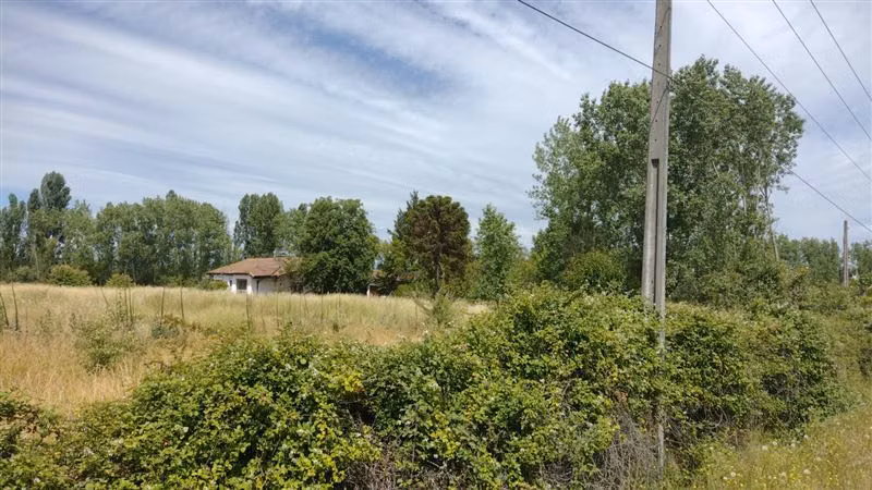 Agrícola en arriendo en Linares