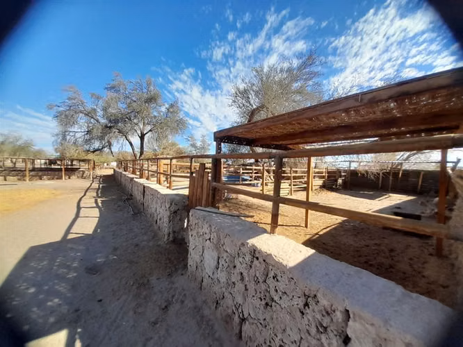 Sitio en venta en Pozo Almonte