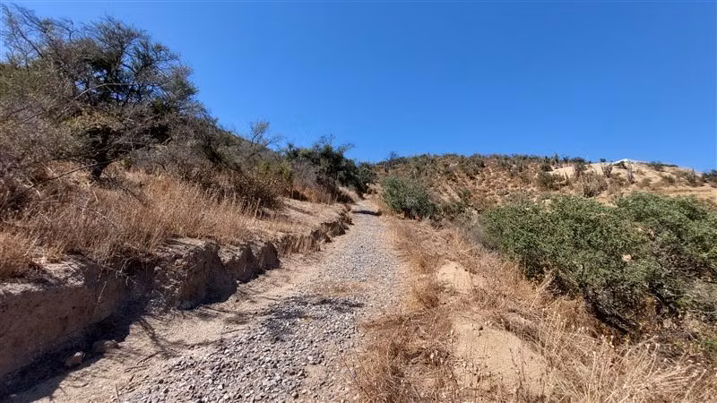 Parcela en venta en Curacaví
