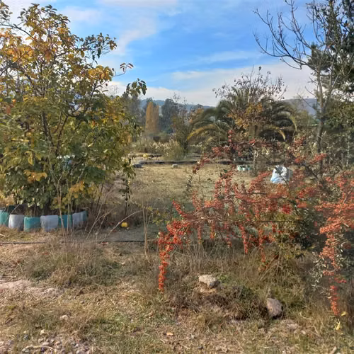 Sitio en venta en Las Cabras