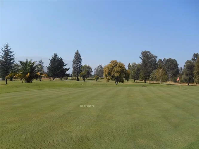 Parcela en venta en Mostazal - Imagen 7
