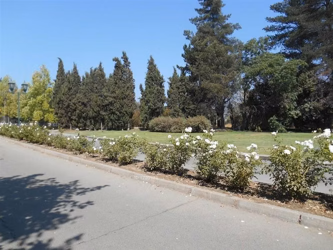 Parcela en venta en Mostazal - Imagen 2