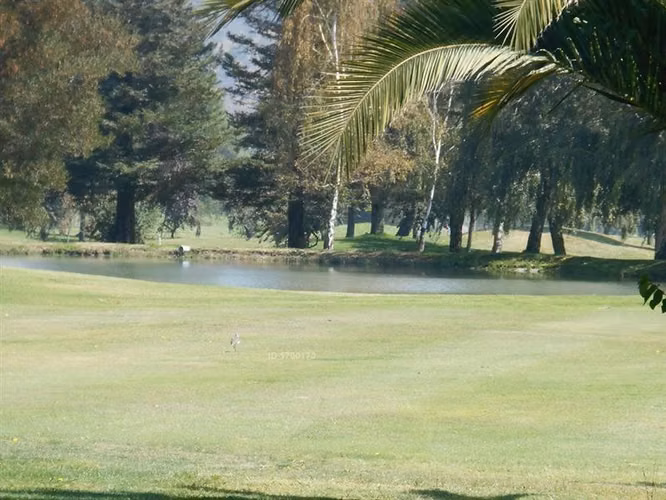 Parcela en venta en Mostazal - Imagen 6