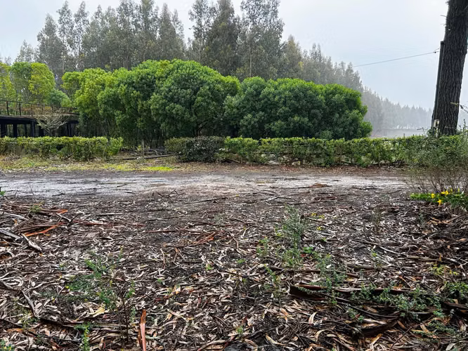 TERRENO 3.156 M2 | CUMBRES DE PINGUERAL | TOMÉ
