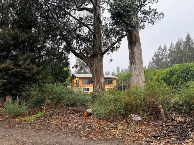 TERRENO 3.156 M2 | CUMBRES DE PINGUERAL | TOMÉ