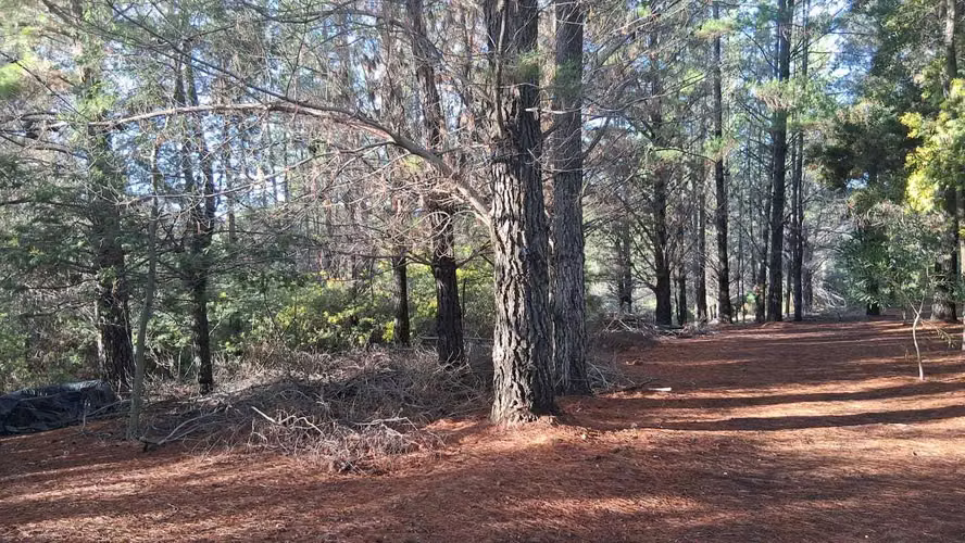 TERRENO PARA INVERSIÓN EN CAUQUENES  (176903)
