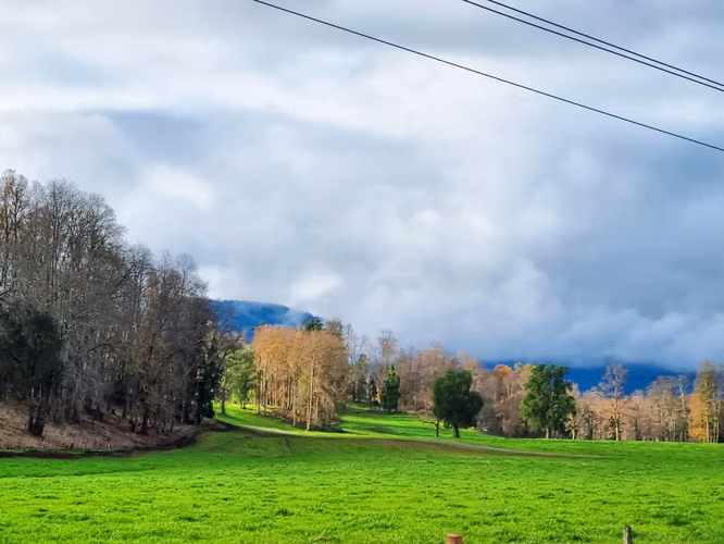 venta de casa a 20 minutos de Lago Ranco