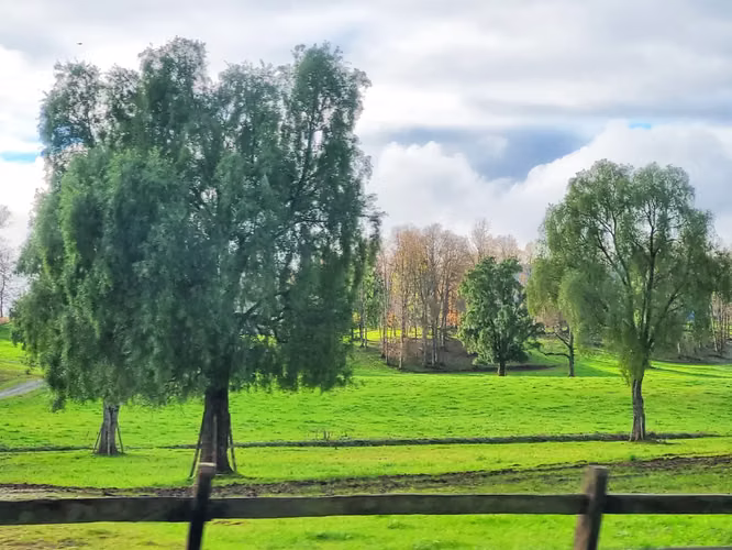 venta de casa a 20 minutos de Lago Ranco