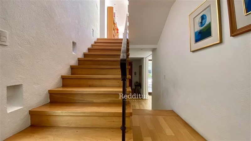 Luminosa, arquitectura, paisajismo - Imagen 11