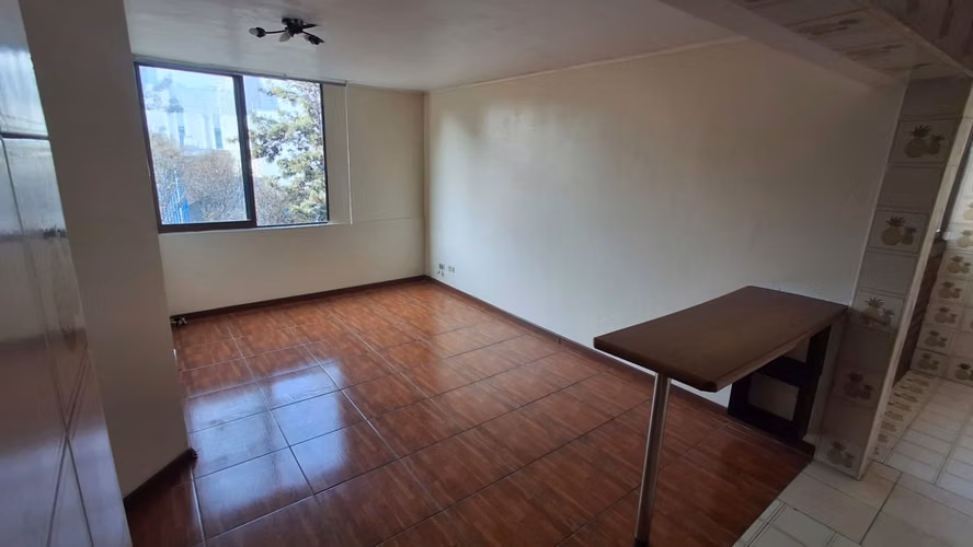 2D,1B |64M2 - CURICO CON LIRA