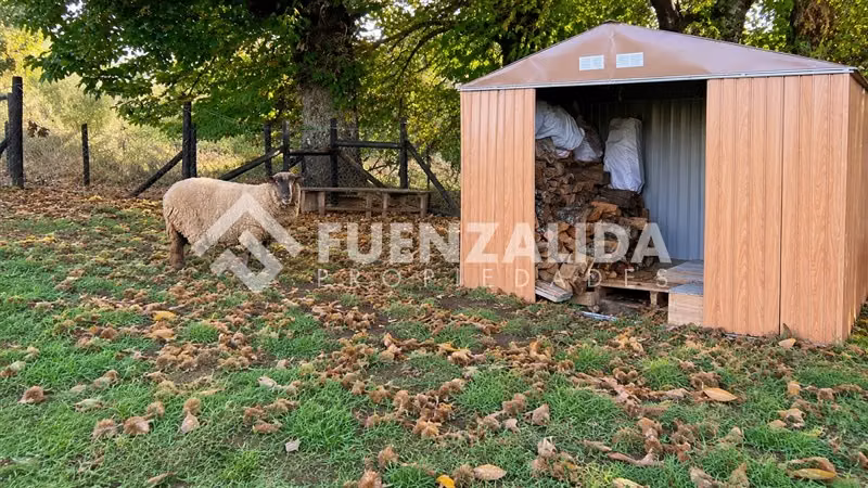 Parcela con Moderna Casa a 20 minutos de Osorno