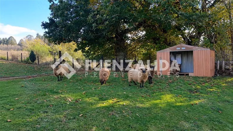 Parcela con Moderna Casa a 20 minutos de Osorno