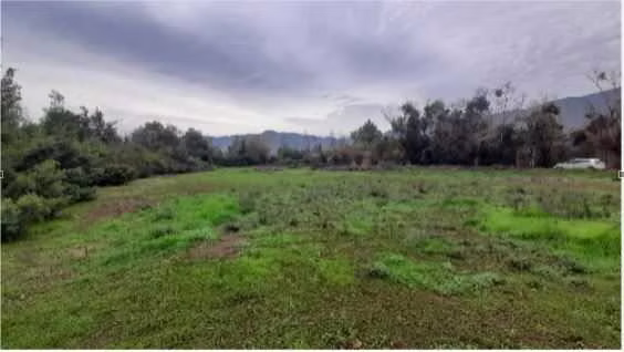 Venta Terreno urbano 6.368 m2  Nogales (176917)