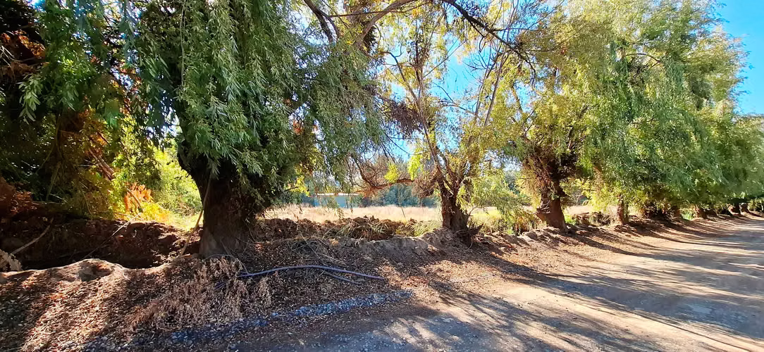 Venta Terreno urbano 6.368 m2  Nogales (176917)