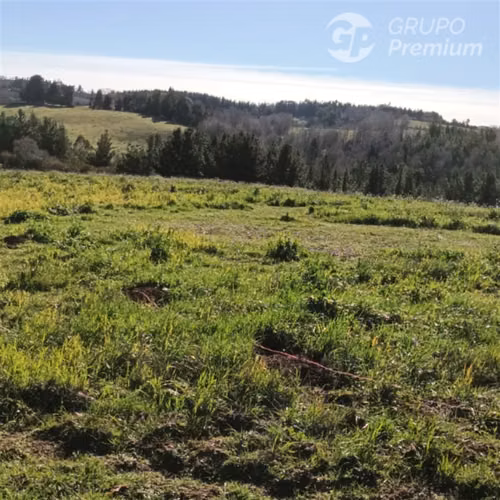 Terreno en venta en Carahue 57000m2