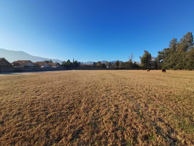 Venta Terreno Desarrollo Habitacional  Comercial (176973)