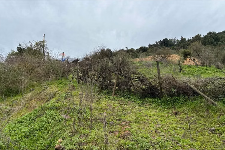 Parcela en venta, hacienda zapallar, curicó.