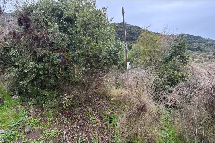 Parcela en venta, hacienda zapallar, curicó.