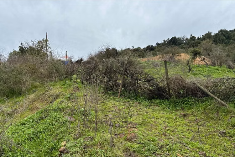 Parcela en venta, hacienda zapallar, curicó.