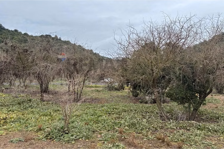 "parcela en venta, hacienda zapallar, curicó"