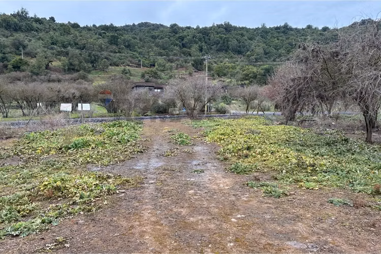 "parcela en venta, hacienda zapallar, curicó"