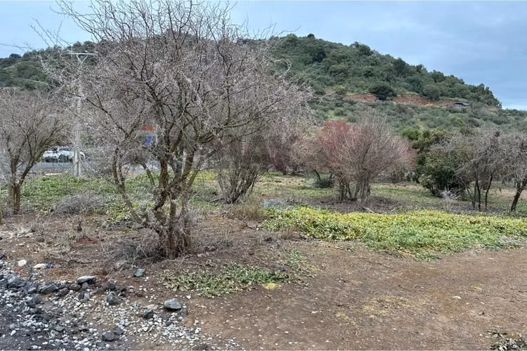"parcela en venta, hacienda zapallar, curicó"