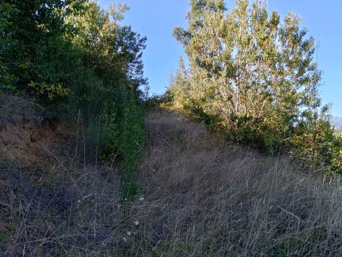 TERRENO EN ALTURA CON VISTA AL LAGO CALAFQUEN, LICAN RAY