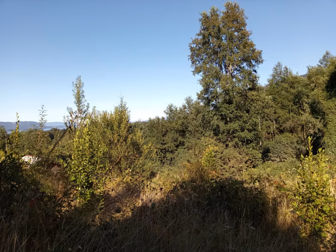 TERRENO EN ALTURA CON VISTA AL LAGO CALAFQUEN, LICAN RAY