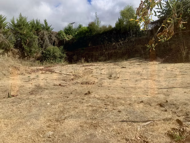 SITIO EN CONDOMINIO, OLMUÉ, VENTA