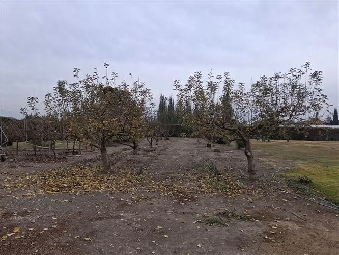 273 m2 en 5000 de terreno, 4D 4B; 3 estac. techados, piscina