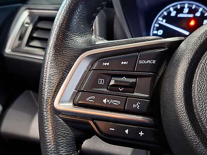 SUBARU EVOLTIS 2024
